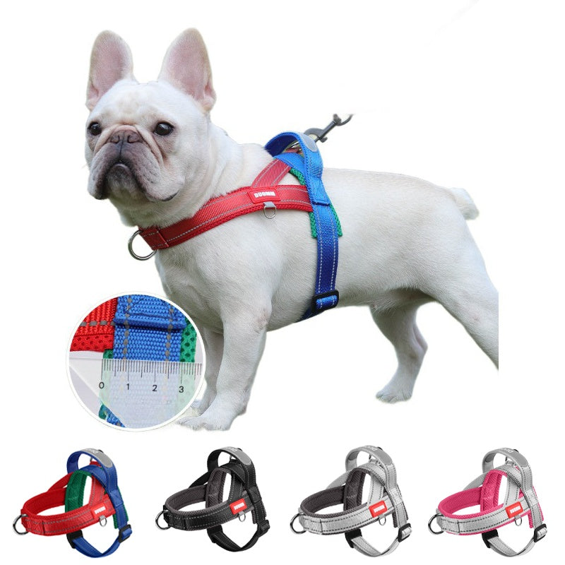 Adjustable no pull dog harness for comfortable daily walks